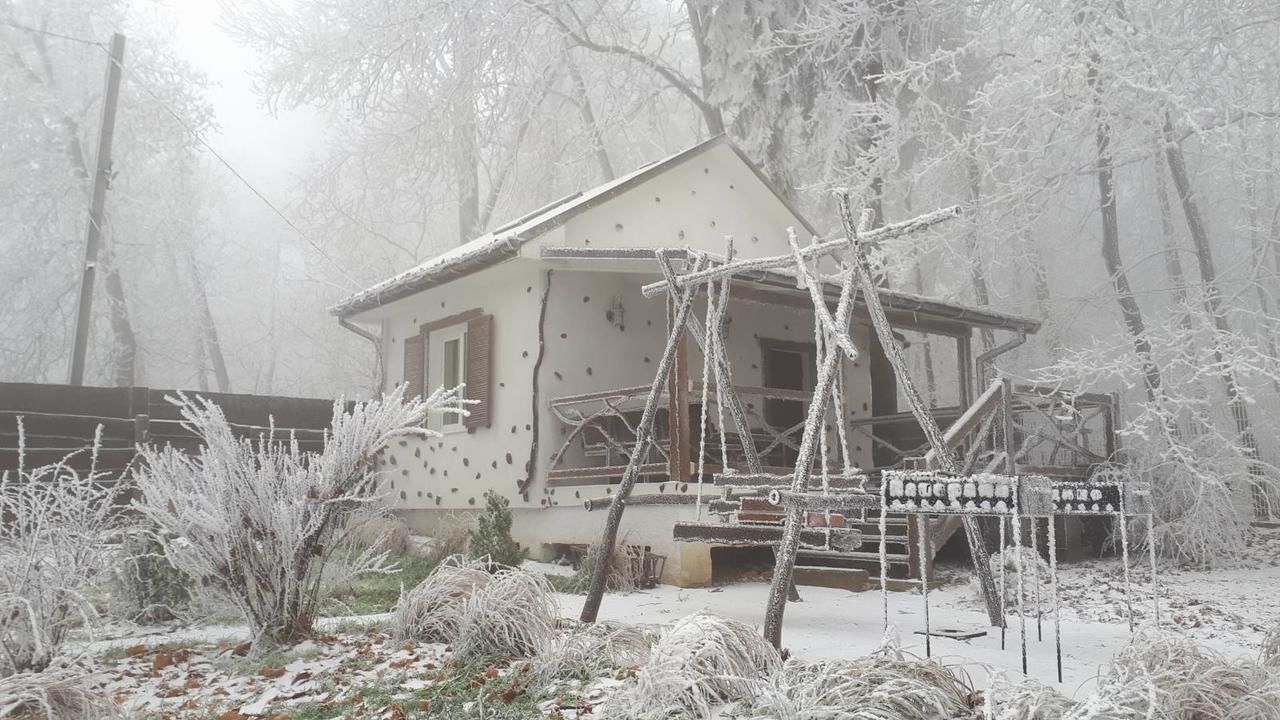 Дома для отпуска Panorama Hotel & SPA Черновцы-25