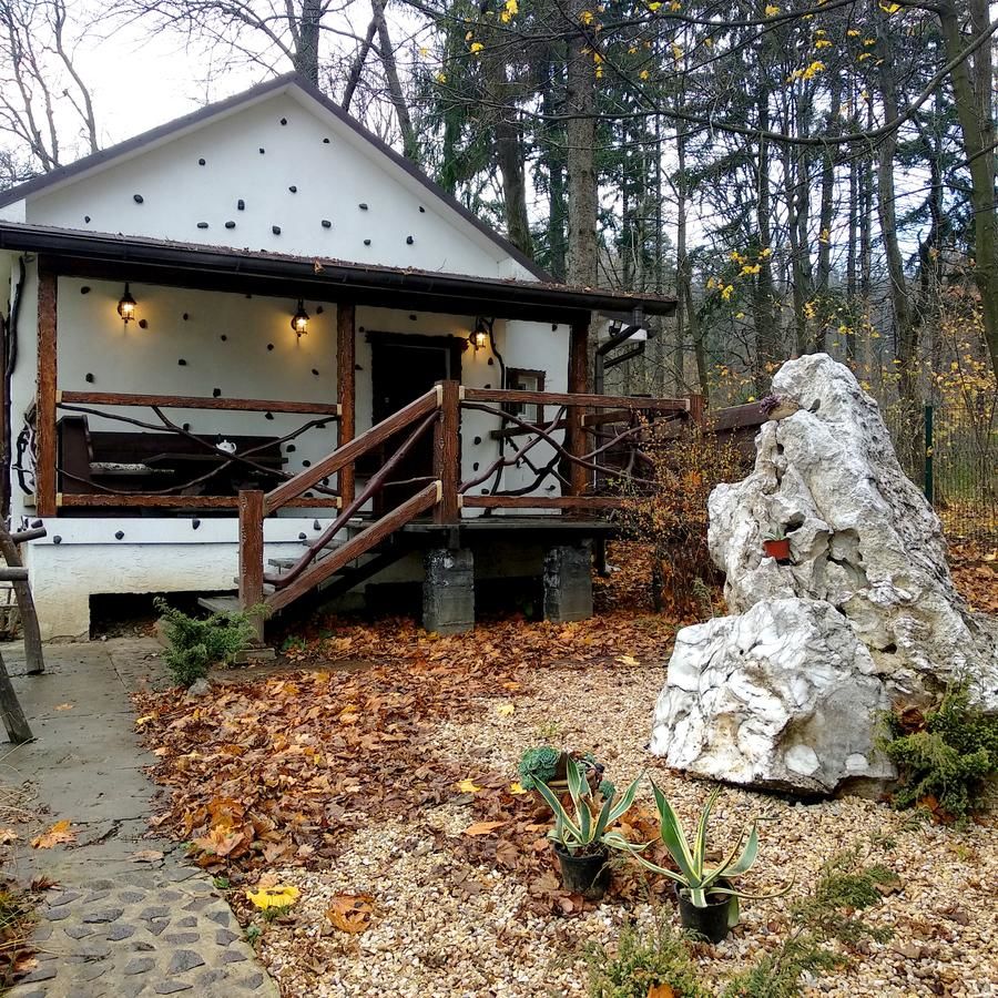 Дома для отпуска Panorama Hotel & SPA Черновцы-37